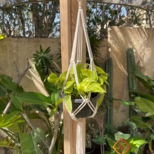 Planet Hanger 1