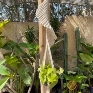 Planet  Hanger